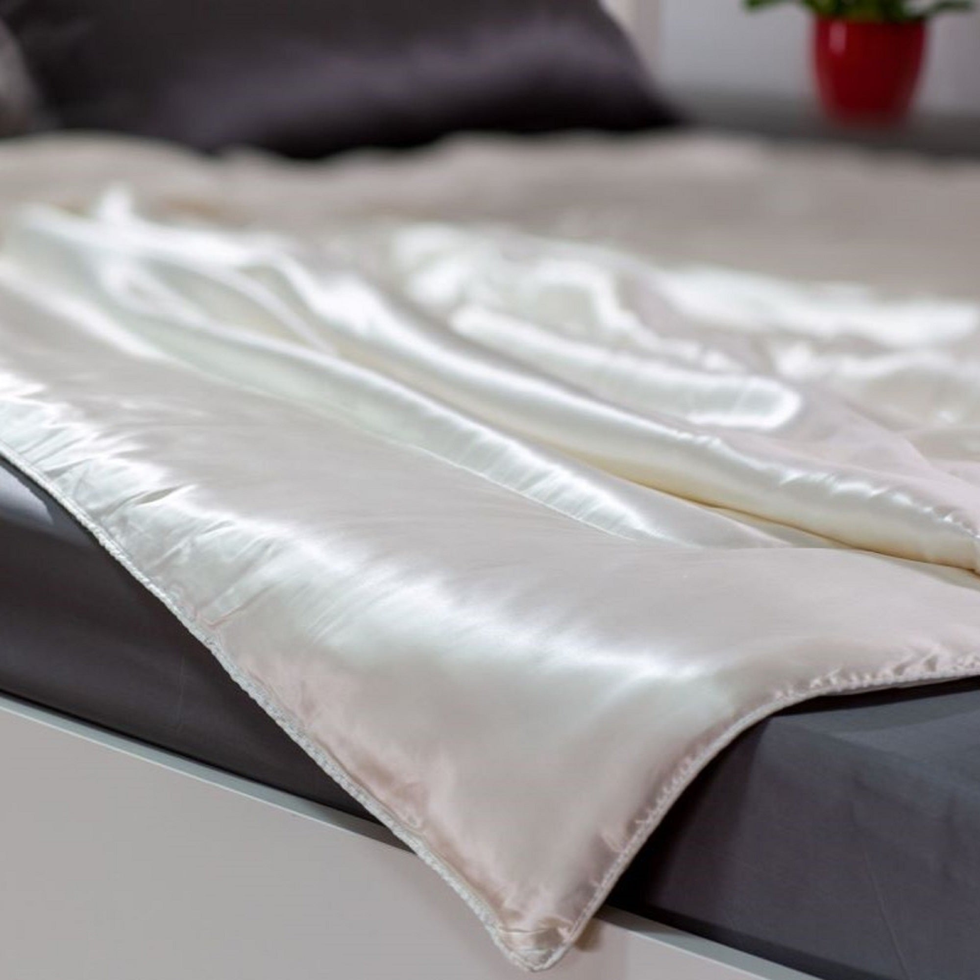 Seidendecke mit Seidenbezug – 100% Maulbeerseide in Satinqualität
