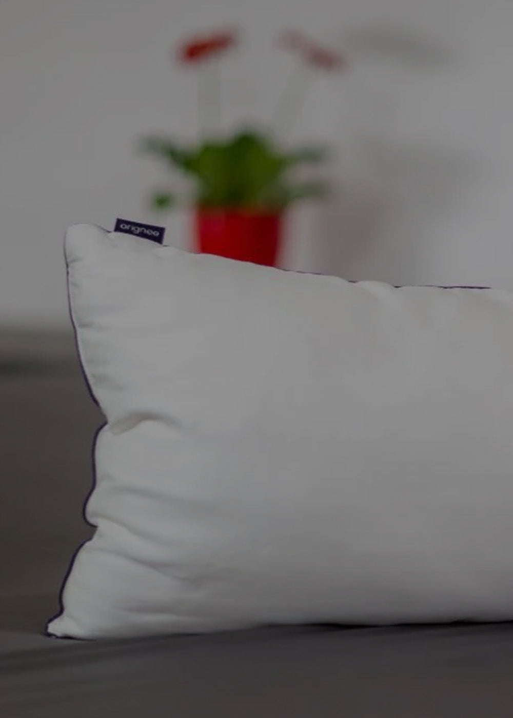 Shopbanner Mobil SeidenKissen Orignee