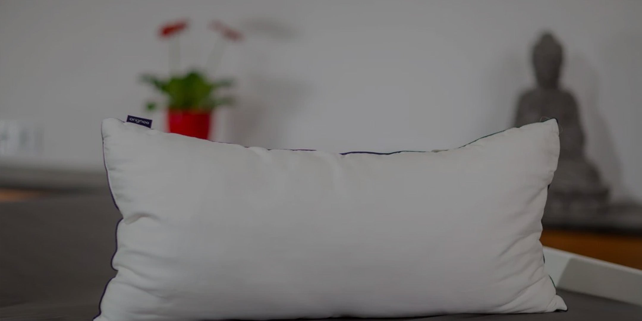 Shopbanner SeidenKissen Orignee